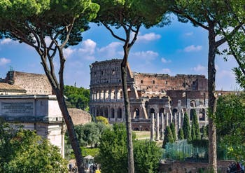 Colosseum Arena, Flavian Amphitheatre in Rome in Italy