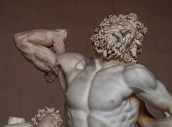 Laocoön and his Sons in the Vatican Pio-Clementino Museum in Rome in Italy