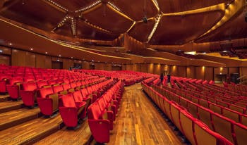 Santa Cecilia Hall Auditorium Parco della Musica in Rome